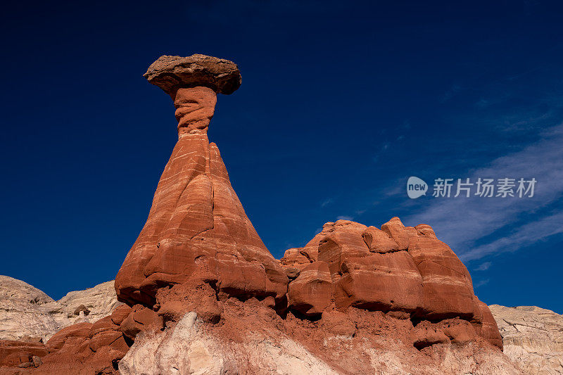 毒蕈hoodooos - Kanab